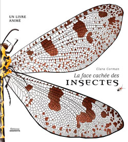 La face cachée des insectes, de CLara Corman aux éditions ZZZZZZZZZ